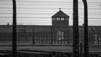Das Eigangstor von Auschwitz-Birkenau hinter Stacheldraht.