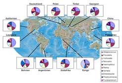 Karte der Probenentnahmeorte und relative Häufigkeit der zehn in den Speichelproben jedes Ortes häufigsten Bakteriengattungen. Grafik: Max-Planck-Institut für evolutionäre Anthropologie
