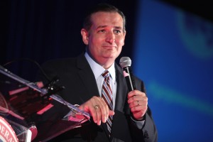 Ted Cruz konnte in Iowa 8 Delegierte unter sich vereinen. Quelle: Flickr Gage Skidmore